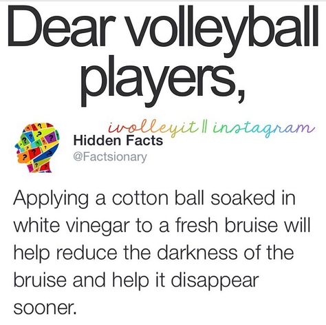 dear volleyball players Volleyball Facts, Volleyball Jokes, Volleyball Tryouts, Volleyball Memes, Volleyball Skills, Volleyball Practice, Volleyball Humor, Volleyball Inspiration, Volleyball Tips