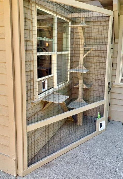 Katt Diy, Catio Ideas, Katt Grejer, Koti Diy, Cat Enclosures, Cat Patio, Outdoor Cat Enclosure, Cat Run, Cat House Diy