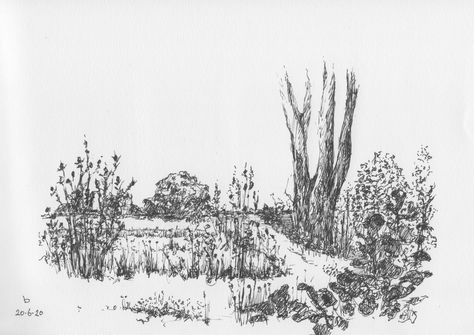 Flower Field Sketch Pencil, Grass Field Drawing, Flower Field Drawing Pencil, Flower Field Sketch, Flower Field Drawing, Scenery Sketch, Element Art, Forest Drawing, Portfolio Project