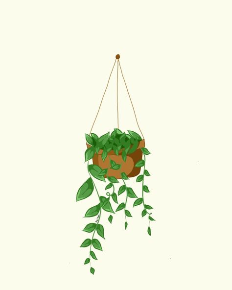 Tried to do the drawing challenge. Here's my first attempt drawing plant Small Plant Drawing, Plants Aesthetic Drawing, Pothos Drawing, Hanging Plant Drawing, Illustrated Plants, Plant Cartoon, Plant Doodle, Plant Window, Window Drawing