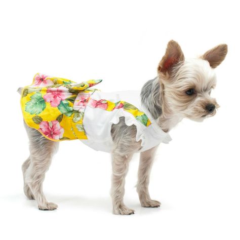 Pink Dog Dress, Designer Dog Clothes, Dog Clothes Patterns, Yellow Floral Dress, Dog Dress, Designer Dog, Dog Apparel, Dog Pet Beds, Summer Dog