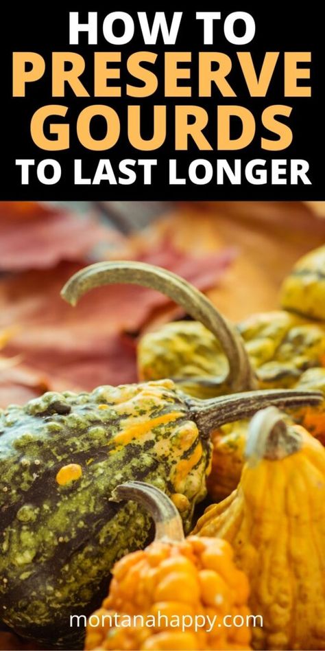 How To Dry Gourds, Preserving Pumpkins, Hygge Tips, Fall Ideas Decorating, Hygge Inspiration, Cozy Lifestyle, Rustic Recipes, Homesteading Ideas, Pumpkin Cake Recipes