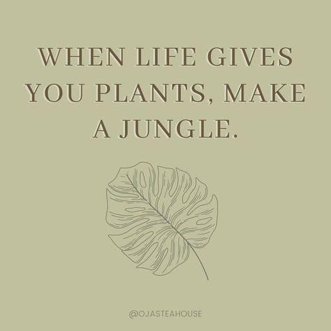 Jungle Quotes, Home Quotes, House Quotes, Jungle Vibes, Spirituality Energy, Tea House, Planting, To Grow, Planting Flowers