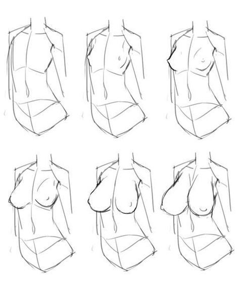 Tips For Drawing, Female Anatomy Reference, Human Body Drawing, Drawing Female Body, Female Torso, Body Drawing Tutorial, Female Drawing, Human Anatomy Art, Anatomy Sketches