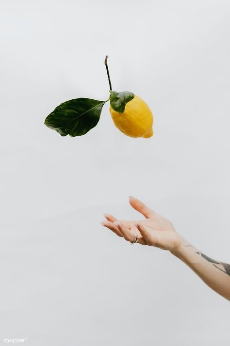 Lemon Food, Gray Sky, Woman Hand, Minimal Photo, Hand Photography, Minimal Photography, Fruit Photography, Hand Reference, Montage Photo