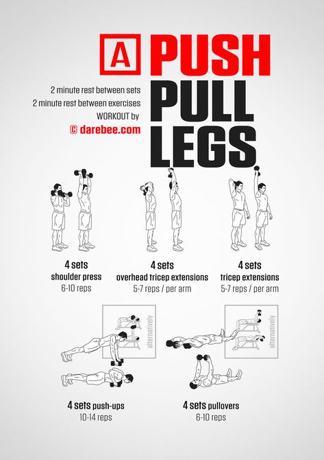 Push Pull Legs Dumbbell Workout, Ppl Workout Routine At Home, Ppl Dumbbell Workout, Ppl Workout Routine, Darbee Workout, Ftm Tips, Push Pull Workout, Free Weight Workout, At Home Core Workout