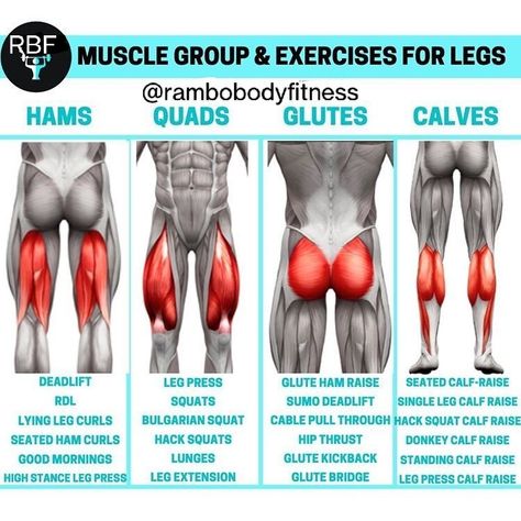 These exercises along with proper nutrition and supplements will get you in the best shape of your life. Add strength and muscle mass to your lower body. Like and subscribe. LJHernandez// Personal Trainer//Fitness Instructor//Bodybuilder//Exercise and Nutrition Advisor//Supplement Advocate #legs #legworkout #musclegrowth #strength #gym #bodybuilding #fitness #weighttraining Leg Day Muscle Groups, Different Leg Workouts, Different Leg Muscles, Legs Muscles Workout, Back Of Leg Workout At Home, Back Legs Workout, Build Leg Muscle At Home, Back Of Leg Workout, Back Leg Workout