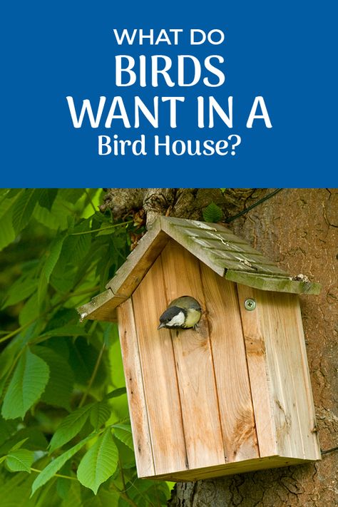 Outdoor Bird Houses Backyards, Making Bird Houses, Bird Houses Ideas Diy Homemade, Homemade Bird Houses Diy, Cute Bird Houses, Finch Bird House, Building Bird Houses, Bird Houses For Sale, Childrens Garden