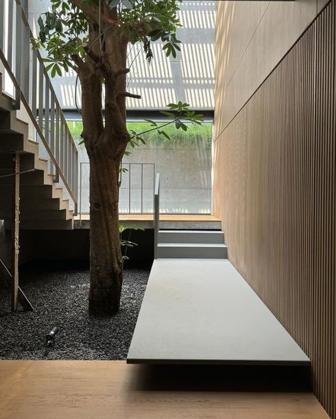 All Posts • Instagram Indoor Courtyard, Landscape Stairs, Indoor Water Features, Japandi Interiors, Concrete Architecture, Courtyard Design, Tropical Architecture, Architecture People, Inner Courtyard