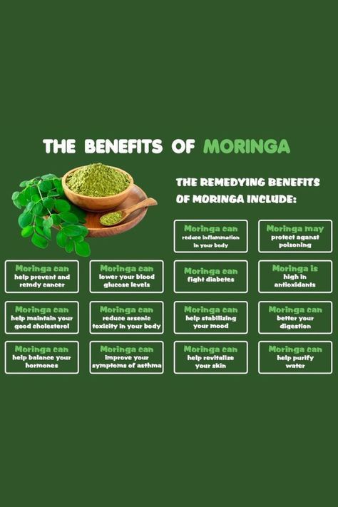 Moringa isn’t just a superfood; it’s a smart tool in our quest for global health, wrapped in environmental and social consciousness. As more research unfolds, the full extent of moringa’s benefits is becoming clear. Prepare to unlock the secrets of ultimate wellness with moringa—it’s your gateway to a healthier, more vibrant life! Moringa Seeds Benefits, What Is Moringa, Moringa Recipes, Benefits Of Moringa, Moringa Benefits, Moringa Seeds, Seeds Benefits, Moringa Powder, Improve Fertility