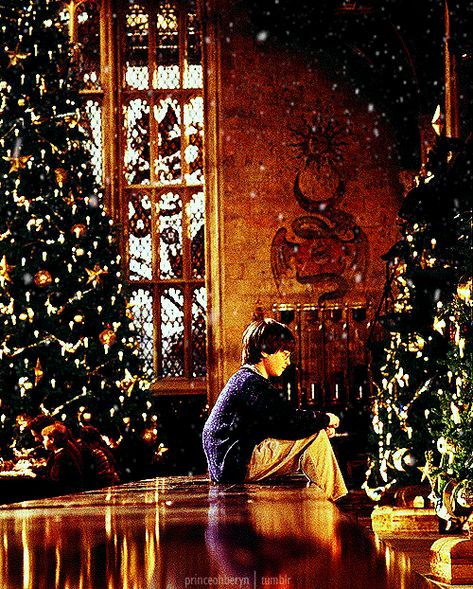 35 Best Christmas Animated Gif Moving Images Wishes & Xmas Clip Art - iPhone2Lovely Harry Potter Weihnachten, Film Harry Potter, Hogwarts Christmas, Ghost Of Christmas Past, Images Harry Potter, Hogwarts Aesthetic, Harry Potter Christmas, Lord Voldemort, Soyut Sanat Tabloları