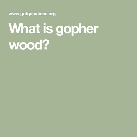 What is gopher wood? Gopher Wood, The Ark, Incoming Call, Incoming Call Screenshot, Wood