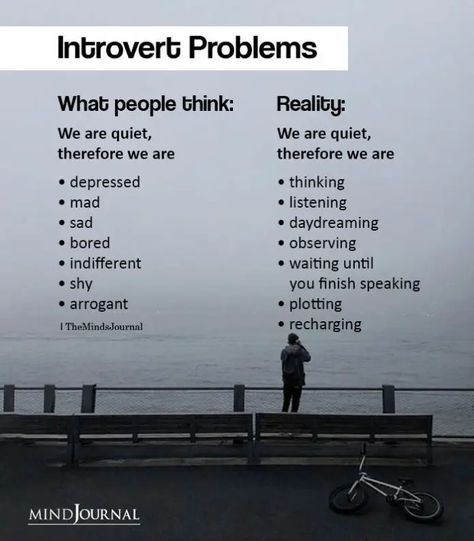 Introvert Vs Extrovert, Introvert Love, Introvert Personality, Being An Introvert, Introvert Problems, Introverts Unite, Faking It, Introvert Quotes, Introvert Humor