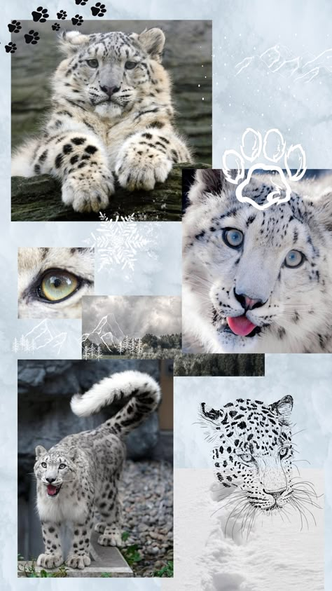 Big Cat Aesthetic Wallpaper, Snow Leopard Therian, Snow Leopard Wallpaper, Therian Wallpaper, Big Cat Species, Therian Ideas, Therian Cat, Therian Mask Ideas, Therian Masks