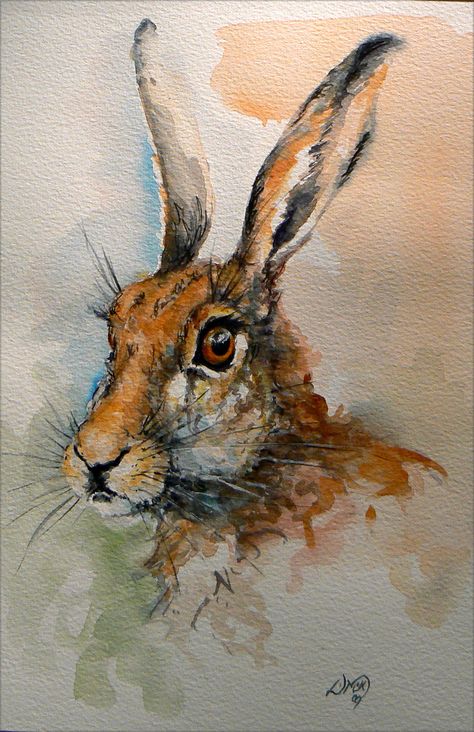 Watercolour study of a brown hare - Leslie McKenzie Hare Pictures, Hare Watercolour, Hare Illustration, Farm Animal Paintings, Hare Painting, Bunny Watercolor, Bunny Painting, Rabbit Painting, Rabbit Art