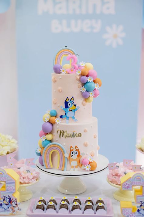 Bluey Girls Birthday Cake, Bluey Party Cake, Bluey Girl Birthday Party Ideas, Bluey And Bingo Birthday Cake, Bluey 2nd Birthday Cake, Bluey Cake Ideas For A Girl, Pastel Bluey Birthday, Bluey Birthday Party Ideas 2nd, Bluey Cake Ideas Birthday Boy