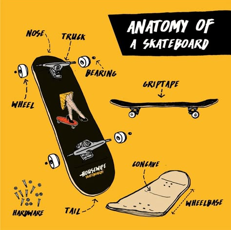 Skate Bord, Skateboard Photos, Beginner Skateboard, Skateboard Videos, Skateboarding Tricks, Skate Aesthetic, Skateboard Aesthetic, Skateboard Bearings, Longboard Skateboard