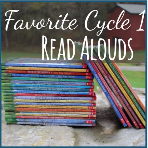 Classical Conversations Cycle 1, Science Timeline, Cc Cycle 1, Timeline History, Family Read Alouds, Timeline Project, Hundred Acre Woods, Scripture Memory, How To Start Homeschooling