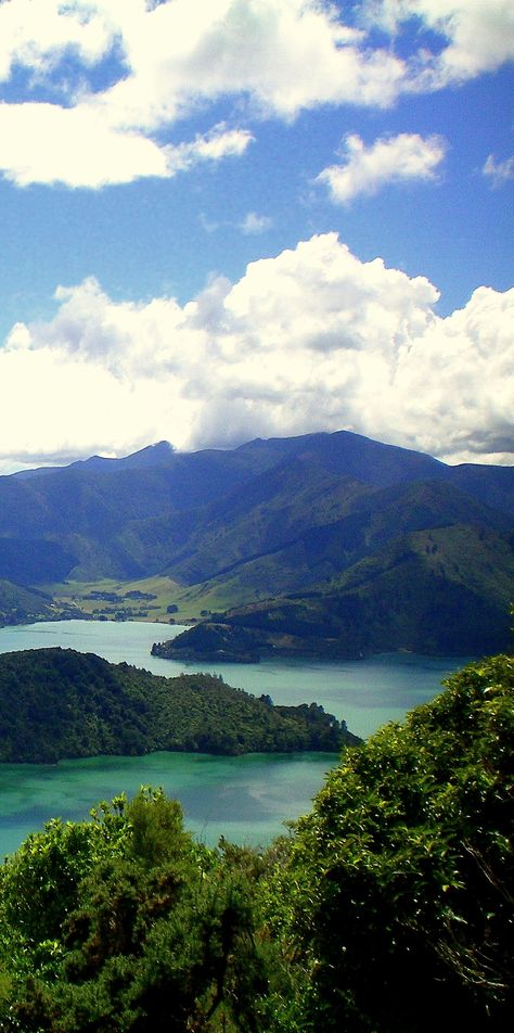 Onahau Lookout along the Queen Charlotte Track - Marlborough Sounds, South Island, New Zealand Marlborough Sounds New Zealand, Landscape Shapes, Marlborough Sounds, New Zealand Adventure, Haida Gwaii, New Zealand South Island, Milford Sound, Queen Charlotte, Hens Night