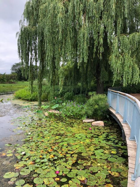 Botanical Garden Date, Summa Aesthetic, Chicago Spring, Dreamland Billionaires, Chicago Summer, Chicago House, Chicago Botanic Garden, Spring Forward, Botanic Gardens