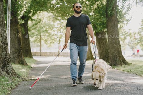 Blind man with guide dog in a summer city by prostooleh. Guide dog helping blind man in the city. Handsome blind guy have rest with golden retriever in the city. #Sponsored #summer, #city, #prostooleh, #dog Dog Jumping On People, Man Walking Dog Illustration, Man Walking Dog Painting, Taking Dog For A Walk, Blind Dog Products, Human Figure Sketches, Dog Help, Guide Dog, Pet Safety