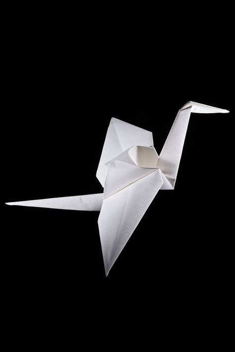 Origami is revolutionizing technology, from medicine to space Wellness Cafe, Origami Artist, Origami Cranes, Origami Models, Folding Paper, Book Origami, Paper Birds, Origami Crane, Crafting Paper