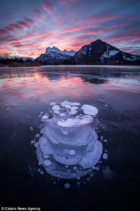 Icy jellyfish? No, these strange phenomena are frozen METHANE BUBBLES trapped under a lake that can be ignited with a match Methane Bubbles, Ice Bubbles, Practice Sketches, Frozen Bubbles, Abraham Lake, Vermillion Lakes, Parks Canada, Frozen Lake, Quiver