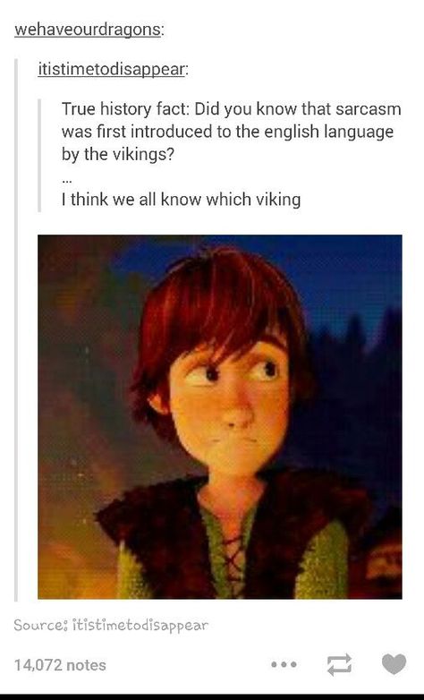 This is actually true! Httyd Language, Httyd Tumblr, Cartoon Viking, Lol Pics, Memes Humor, Disney Memes, Toothless, Disney Funny, Grumpy Cat