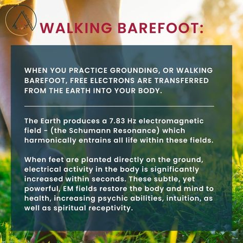 There are amazing benefits to walking barefoot, known as grounding or earthing. Risks of walking barefoot are also.... #walkingbarefoot #grounding #earthing Benefits Of Earthing, Feet In Grass Grounding, Earthing Benefits, Grounding In Nature, Nature Grounding, Grounding Benefits, Benefits Of Grounding, Earth Grounding, Animal Signs