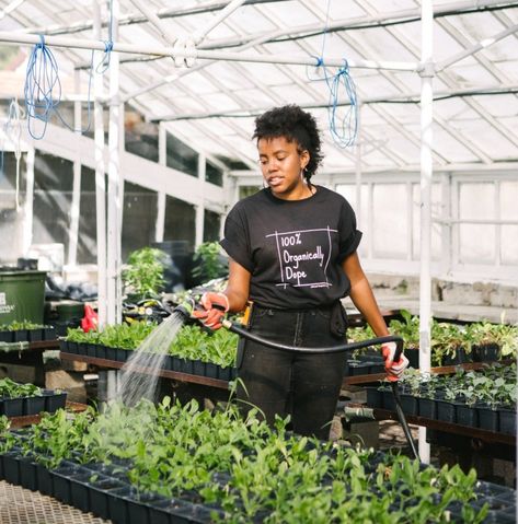 Ex-health care worker has prescription for healthy living | The Chestnut Hill Local Black Farmers, Tea Plants, Elkins Park, Life Plans, Regenerative Agriculture, Garden Layout Vegetable, Healthcare Administration, Small Greenhouse, Care Worker