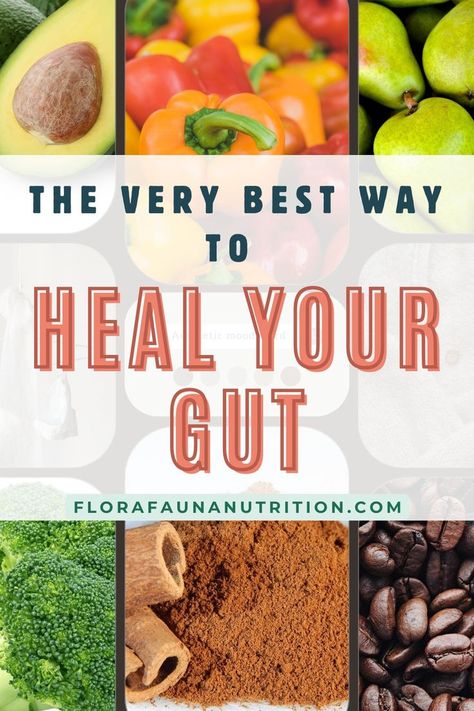 pictures of plant-based foods with text that reads "The very best way to heal your gut" 30 Plants A Week, Improve Your Gut Health, Simple Diet, Heal Your Gut, Gut Healing Recipes, Healing Recipes, Improve Gut Health, Easy Diets, Gut Healing