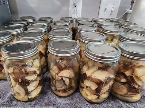 Preserving Perfection: Canning Russet Potatoes for Long-lasting Pantry Staples Homemade Dish Soap, Canning Potatoes, Dehydrating Food, Fermented Pickles, Frozen Potatoes, Pressure Canning, Meals In A Jar, Russet Potatoes, Pantry Staples