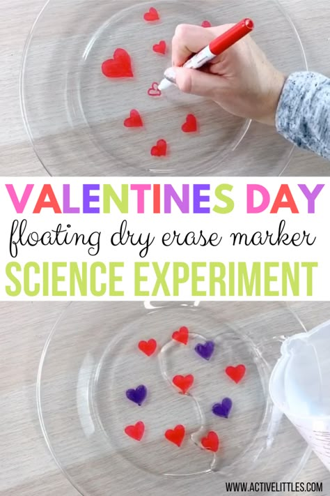 Floating Dry Erase Marker Experiment for Kids - Valentine’s Day  - Active Littles February Preschool Science Activities, Dancing Hearts Science Experiment, Valentine's Stem Activity For Kids, February Science Preschool, Valentine's Science Experiments, Valentines Experiments, Valentine Day Preschool, Valentine Steam Activities For Preschool, February Stem Activities For Kids