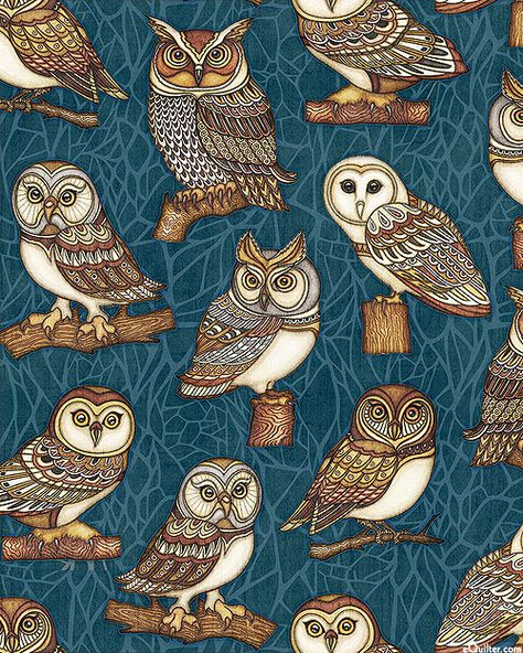 Where the Wise Things Are - Night Owls - Slate Blue Barn Drawing, Needle Felted Owl, Owl Graphic, Basic Necessities, Winter Owl, Spirit Animal Art, Night Owls, Flower Graphic Design, Felt Owl