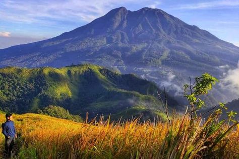 Panduanmu untukmu yang mau ke Lawu Travel, Quick Saves