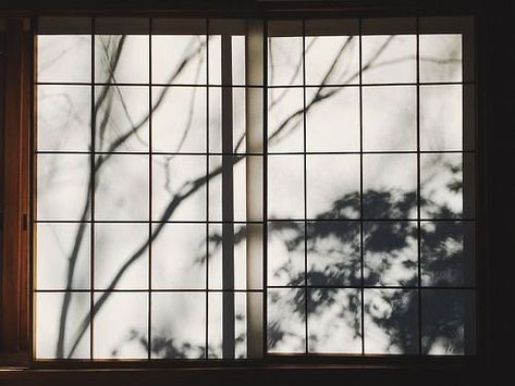 In Praise Of Shadows, Shikamaru Nara, Japanese Interior Design, Japanese Interior, Japanese Architecture, Tea House, Nara, Tea Room, Visual Merchandising