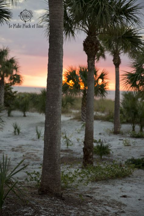 North Captiva Island Florida, North Captiva Island, Destin Florida Restaurants, Captiva Island Florida, Florida Palm Trees, Sanibel Island Florida, Florida Sunshine, Destin Florida Wedding, Panama City Beach Florida