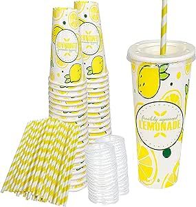 Lemonade Cup, Kids Lemonade Stands, Lemonade Stand Party, Plastic Cup With Straw, Lemonade Decor, Sugar Free Lemonade, Diy Lemonade Stand, Kids Lemonade, Snack Stand