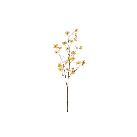 Flower Widget, Flower Icons, App Layout, Iphone Aesthetic, Png Icons, Phone Screen, Small Flowers, Yellow Flowers, Dandelion