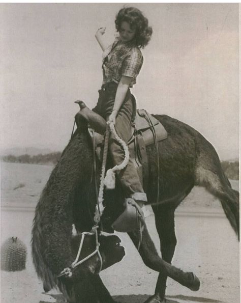 1940s Cowgirl, Horse Riding Reference, 1890s Western Aesthetic, Old Western Woman Aesthetic, Sapphic Cowgirl Aesthetic, Vintage Cowboy Aesthetic, Vintage Cowboy Photography, Vintage Cowgirl Aesthetic, Woman On Horse Reference