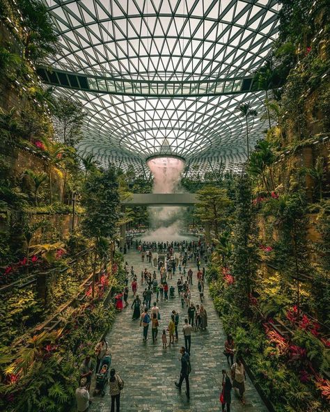 Changi Airport Singapore, Singapore Photos, Changi Airport, Indoor Waterfall, Dream City, Nature Themed, Terrace Garden, Most Beautiful Places, Indoor Garden