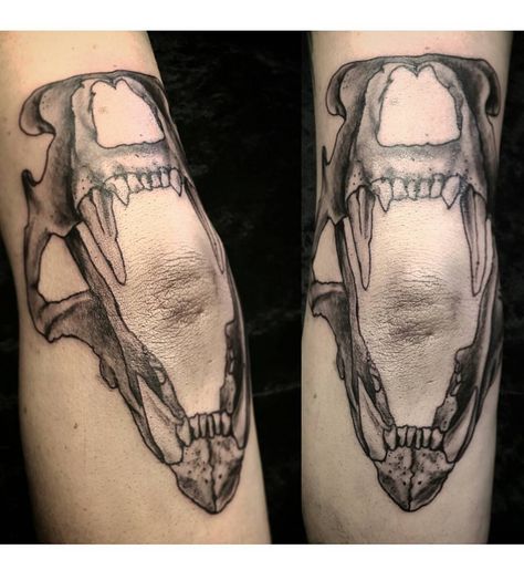 Jaw Elbow Tattoo, Human Jaw Tattoo, Jaw Knee Tattoo, Around Elbow Tattoo, Jaws Tattoo, Tattoo On Elbow, Jaw Tattoo, Inner Elbow Tattoos, Tattoo Elbow