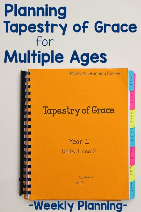 Planning Tapestry of Grace for Multiple Ages - practical tips and suggestions! Tapestry Of Grace, Raising Arrows, School Planning, Learning Corner, Homeschool Preschool Curriculum, Free Homeschool Curriculum, Teachers Toolbox, Homeschool Elementary, School Plan