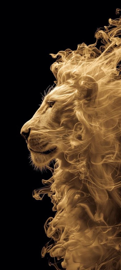 Skies Wallpaper, Scratchboard Drawings, Iphone Wallpaper Winter, Lion Artwork, Lion Photography, Ganesh Photo, Lion Wallpaper, Lion Images, Photography Images