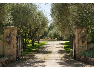 Olive tree lined entry drive. Olive Tree Lined Driveway, Olive Tree Driveway, Tree Driveway, Garden Grid, Farm Entrance, Tuscan Style Homes, Italian Farmhouse, Tree Lined Driveway, Driveway Entrance