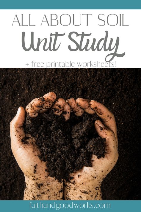 Soil Stem Activities, Soil Activity, Soil Unit Study, Soil Activities For Kids, Soil Art, Soil Activities, Environment Activities, Grade 3 Science, Earth Science Activities