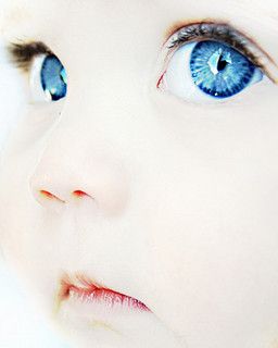 baby,blue,blue,eyes,cute,eyes,face-5b53cbd7d323d2dfa6e9563e564d0c63_h | Flickr - Photo Sharing! Animal Eyes, Baby Fotografie, Behind Blue Eyes, Foto Tips, Foto Baby, Jolie Photo, 인물 사진, Pics Art, Cool Eyes