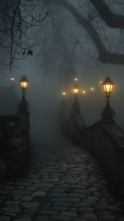 Foggy Night, Zen Design, Night Scenery, Street Lights, Gothic Aesthetic, Beautiful Dark Art, Dark Places, 판타지 아트, Nature Aesthetic