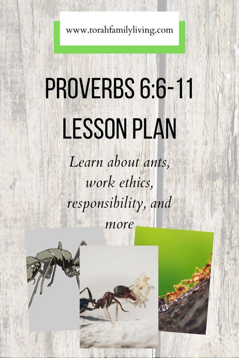 Looking for a simple way to incorporate some Scripture and simple learning into your homeschool? These worksheets and resources are just the thing. They have a verse for copywork, and some simple science or history related activities to go with the verse. I have also included links to additional coloring pages, videos, and activities that will go along with the verse. Today’s lesson is all about Proverbs 6:6-11. | homeschool, ants Proverbs For Kids, Ant Lesson, Proverbs 6, Bible Worksheets, Red Ant, Sabbath School, Bible Study Books, Simple Science, Proverbs 4