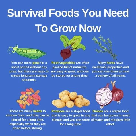 Camping Bushcraft, Survival Foods, Canned Potatoes, Growing Garlic, Vegetable Garden Planning, Survival Gardening, Growing Potatoes, Survival Camping, Super Foods